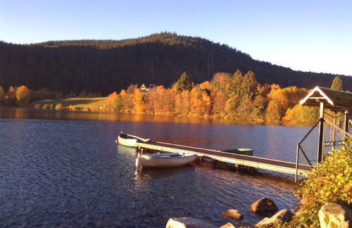 Gîte Confortable en Pleine Nature avec Cheminée et Accès Direct aux Sentiers, Proche Gérardmer et Lac - FR-1-589-124 - Photo 8