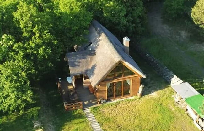 Ptasia Osada - Photo 49