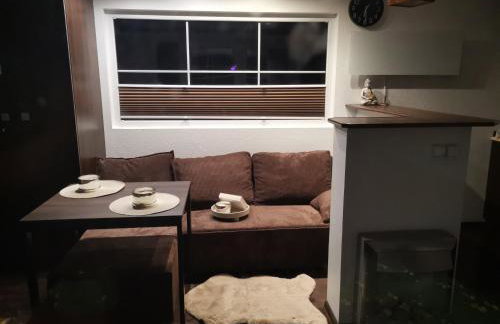 Linia brzegowa prywatny pomost własny kajak hamaki grill ognisko kominek w domu taras Domek dla 6 osób nad samą wodą BRZÓZKI 1 - Foto 5