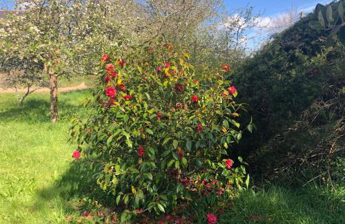 Villa Tidinghi, plage de Rospico à pied - Photo 74