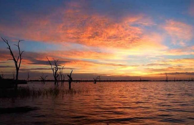 NRMA Yarrawonga Mulwala Holiday Park - Photo 70