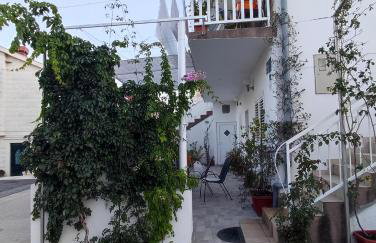 Apartmani Branka - Foto 43
