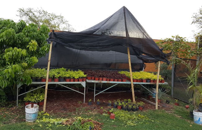 Luxury House Near Cuernavaca - Foto 36