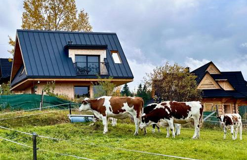 Domek Tatry - Stacja Wierchowa 972 m - Foto 53