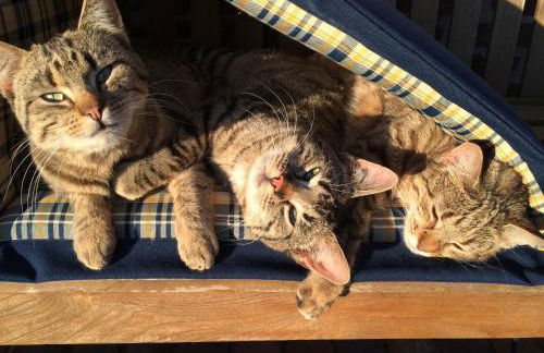 Bielenberg 37 - Foto 36