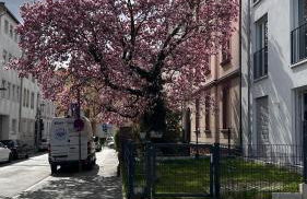 City Nest Offenbach - Foto 9