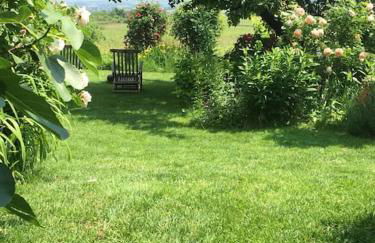 Traumblick Rebenmeer - Foto 30