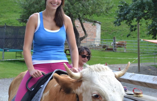 Bio Bauernhof Hotel Matlschweiger - Foto 32