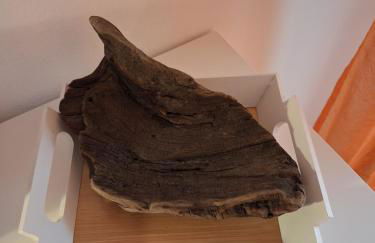 Spiaggia Serena - con giardino e box a 10 mt dal mare - Foto 8