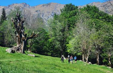 Villa Coccodrilla Varallese - Foto 47