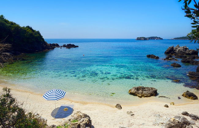 White Orchid Jumellea - Foto 21