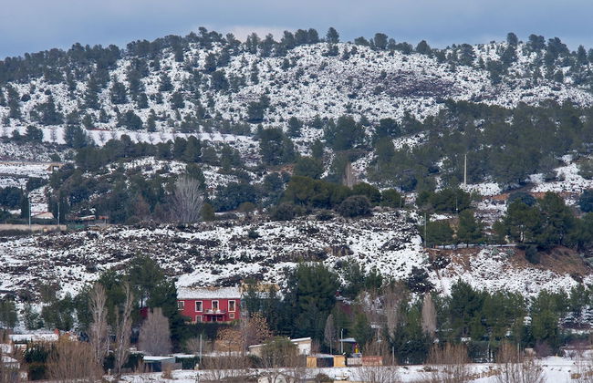 Casas Rurales Caravaca de la Cruz - Foto 36