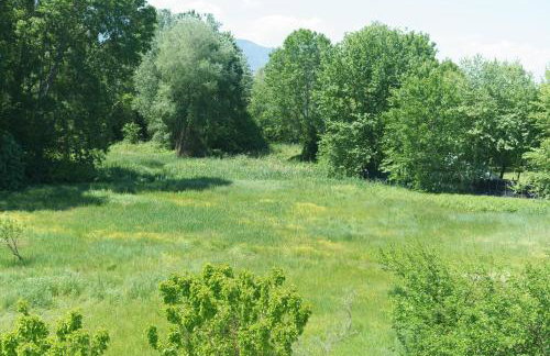 Achilleas Apartments - Foto 74