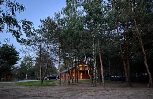 U Progu Lasu - Foto 64