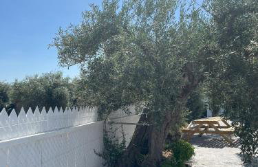 El Gallinero - Foto 56