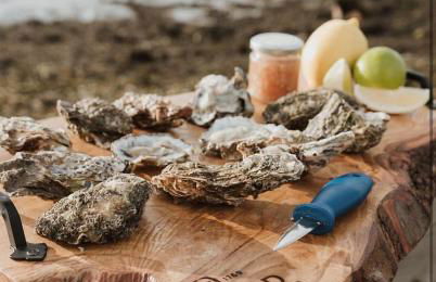 Oyster Lodge - Foto 23