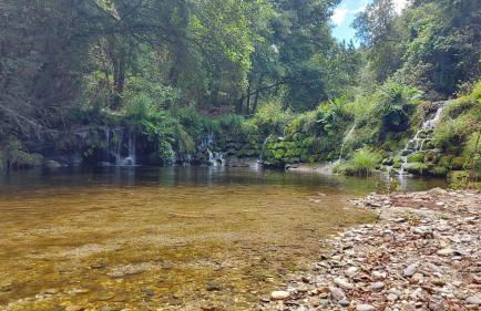 Sítio dos Cogumelos Alojamentos - Foto 26