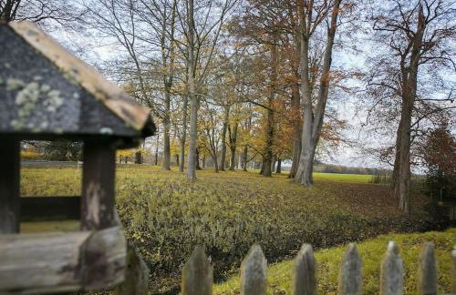 Walshford Lodge - Foto 3