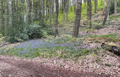 The Corner House - Foto 38