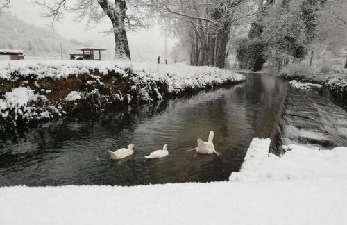 Casa vacanze I PINI E IL CILIEGIO - Foto 38
