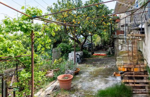 Apartment Casa Gian by Interhome - Photo 5