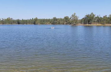 Abetarda CC - Foto 61