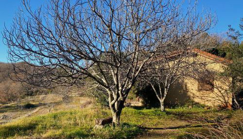 Vergel San Pedro - Foto 3