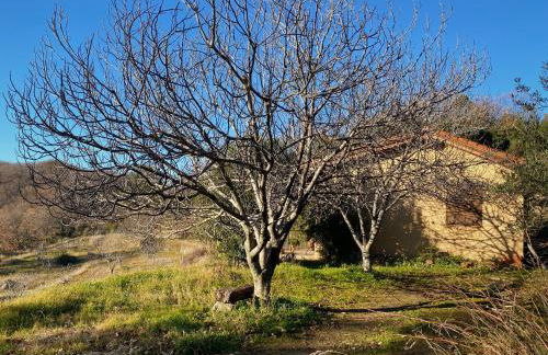 Vergel San Pedro - Foto 3