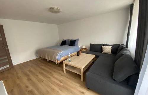 Pension mit Moselblick - Foto 71