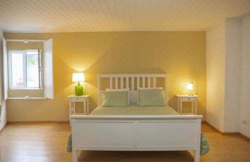 Água de Alto Terrace House - Photo 42