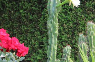 Space Hotel im Campus der JvP Schule - Foto 69