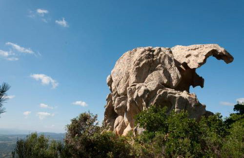 La Suara Manna - Happy Rentals - Foto 34