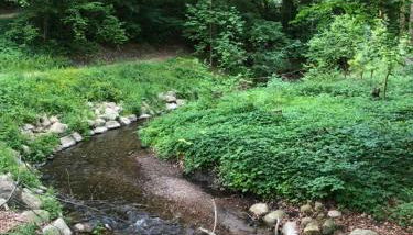 Ferienhaus Bäk-Ratzeburg - Foto 5