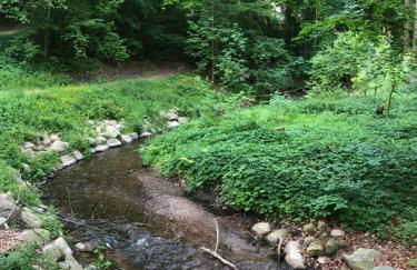 Ferienhaus Bäk-Ratzeburg - Foto 5