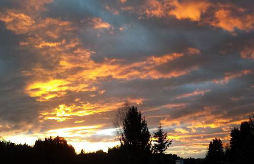 Ferienwohnung Sonnenschein - Foto 25