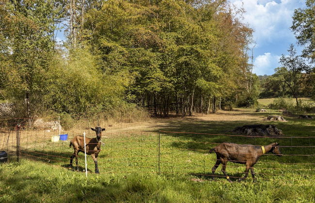 Country House Near Parc du Morvan With Pool - Foto 36