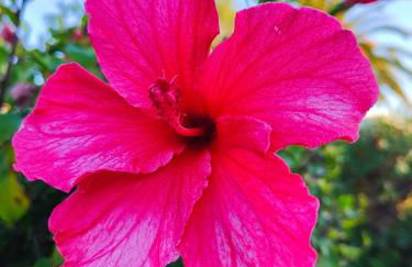 Villa Nuralux - Vistas Espectaculares, Piscina Privada y BBQ - Foto 11