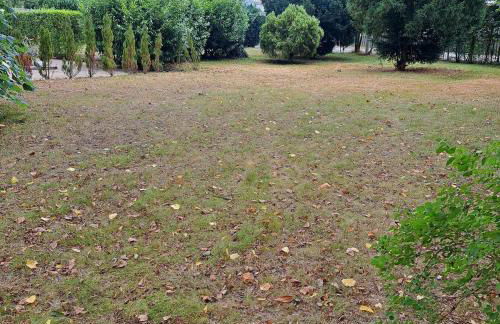 Exclusives Ferienhaus am Kulkwitzer See - Photo 29