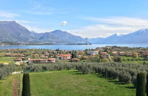 Corte Cardo - Foto 1