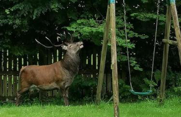 Cheerful Stays: 4 Bedroom Cottage in Arrochar - Foto 65