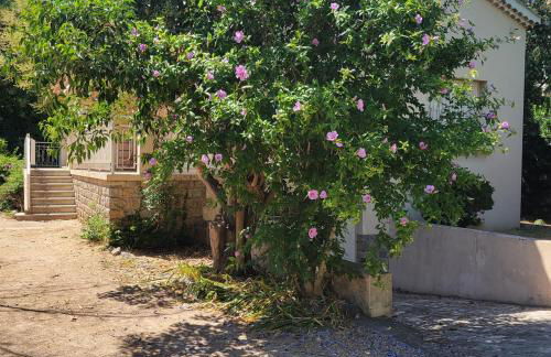 Beautiful house on large wooded grounds of 1600 m2 - Foto 27