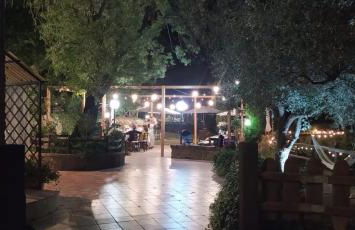 Azienda Agricola Biologica La Cardellina - Foto 15