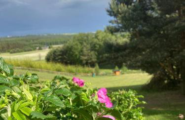 Widokówka - Foto 60