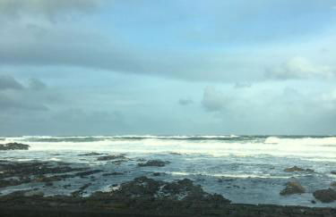 The Beachcomber - Foto 37