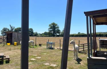 Apple Blues Farm - Foto 20