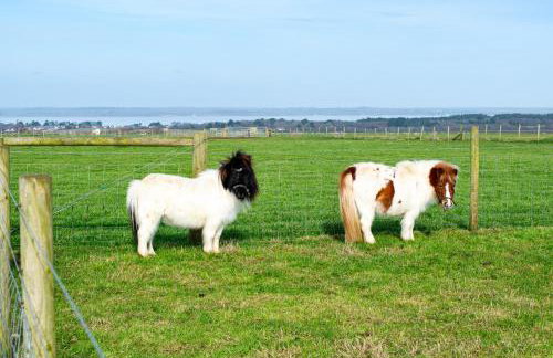 7, Rabbits Run, Camp Tapnell - Foto 32