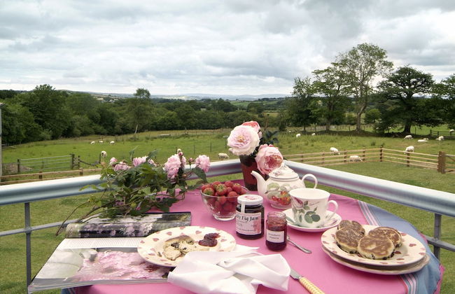 Parc-yr-Hebog - Photo 15