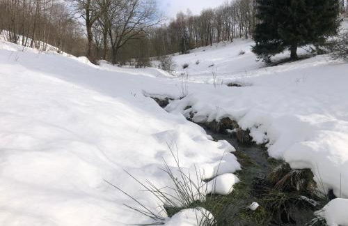 App 510 Panoramic Hohegeiß mit Fernblick - Foto 32