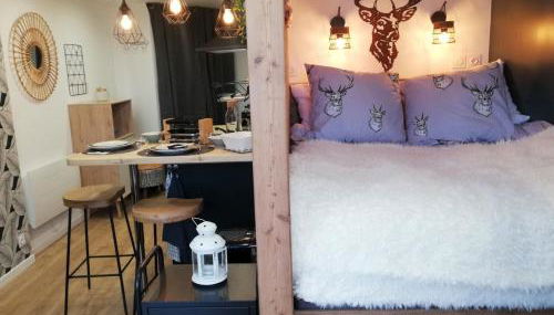 Le Petit Aupillon - L'Aupillon des Forêts - 2 studios cocooning aux Orres - Foto 4