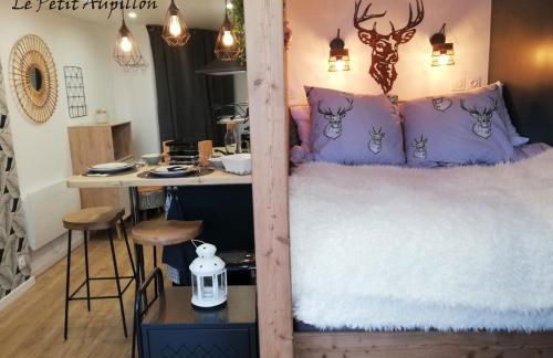 Le Petit Aupillon - L'Aupillon des Forêts - 2 studios cocooning aux Orres - Photo 4